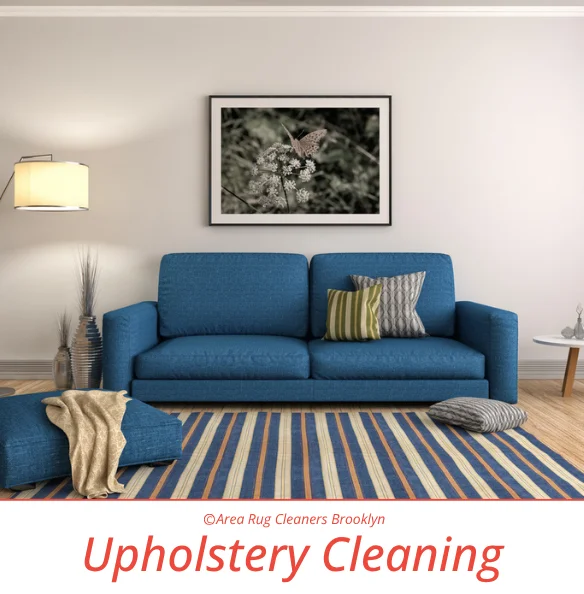Upholstery Cleaning