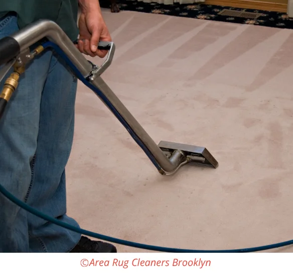 Carpet Cleaning