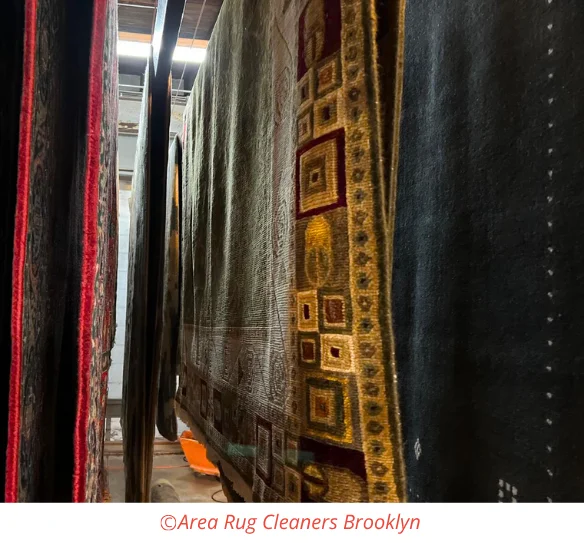 Rug Cleaning